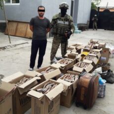 Вывоз рогов сайги из РК в Китай: Ущерб составил 5,5 млрд тенге