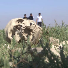 Древнее захоронение тюркских воинов обнаружили в Туркестанской области