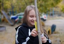 В Шымкенте опавшую листву приклеивают обратно на деревья