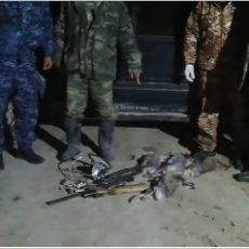 В Туркестанской области задержали подозреваемых в браконьерстве и незаконной порубке деревьев