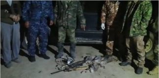 В Туркестанской области задержали подозреваемых в браконьерстве и незаконной порубке деревьев