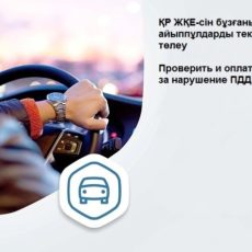 Шымкентцы могут оплатить штрафы за нарушения ПДД по улице Кожанова (бывшая ОблГАИ)