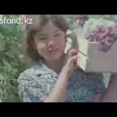 Ностальгический ролик о советском Чимкенте появился в сети