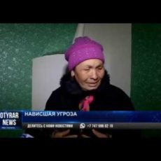 Жители аварийного дома в Шымкенте сквозь трещины видят улицу