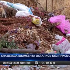 Чиновникам Шымкента светит перспектива очередного субботника… на кладбище
