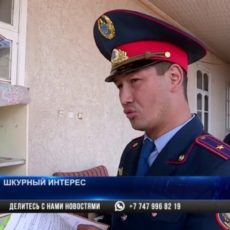 Полицейские Шымкента проверяют у горожан документы на животных