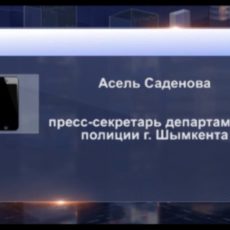 Сумку с 10-ю миллионами тенге украли из автомобиля жителя Шымкента