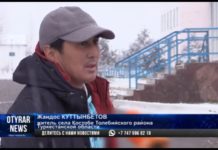 В Толебийском районе новая школа пришла в аварийное состояние за 8 лет