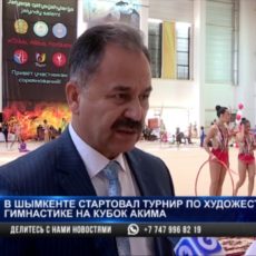 Всю красоту художественной гимнастики смогли увидеть шымкентцы