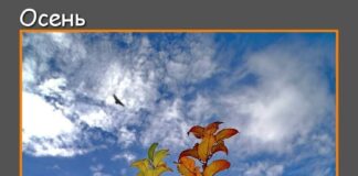 Прогноз синоптиков на 5 ноября: неустойчивый характер погоды Осень