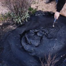 В Туркестанской области геологи обнаружили нефтяную плёнку нефть