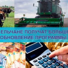 Сельчане получат больше денег — обновление программы «БІРЛІК»