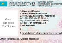 Когда будут выдавать водительские права нового образца