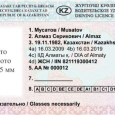 Когда будут выдавать водительские права нового образца