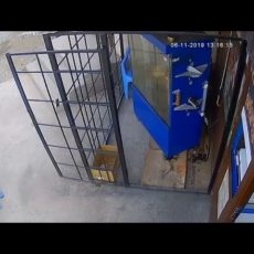 В Шымкенте вор совершил кражу за 13 секунд (видео)