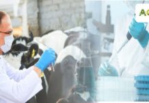 Инспекторы ветконтроля смогут проводить внезапные проверки