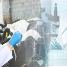 Инспекторы ветконтроля смогут проводить внезапные проверки