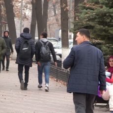 vlcsnap-2019-11-20-17h23m33s356