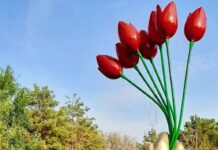 Инсталляция «Тюльпан – наследие Юга» установлена в Шымкентском дендропарке инсталляция в Дендропарке