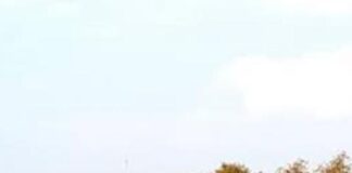 Дом хоббитов построили в Туркестане