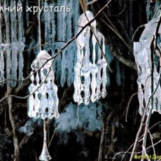 Прогноз погоды на 27 января