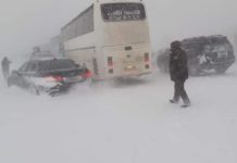 Свыше 200 авто стали заложниками снежной стихии на трассе в Туркестанской области