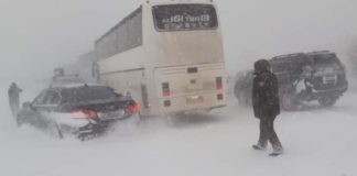 Свыше 200 авто стали заложниками снежной стихии на трассе в Туркестанской области