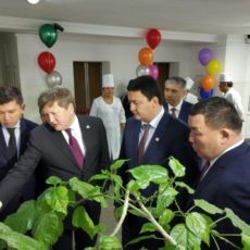 Медучреждения Шымкента готовы к внедрению ОСМС