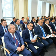 В Туркестанской области могут уволить тех чиновников, кто допустил нарушения при оформлении АСП
