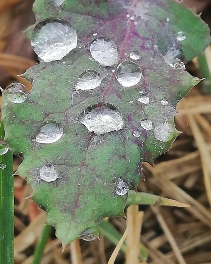 72481203_3189519011123479_7750257400321409024_o