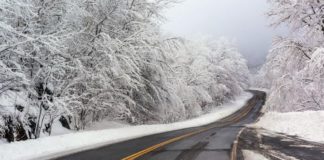 Полицеские Туркестанской области обратились к водителям