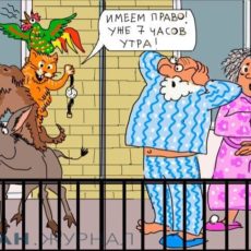 Что является нарушением тишины?