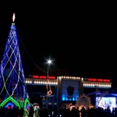 Елка за 14 миллионов: Мнения жителей мегаполиса о главной елке города разделились