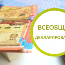 Гражданам РК будет предоставлено право добровольного декларирования