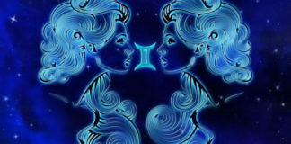 Для каких знаков зодиака 2020 год будет успешным гороскоп Близнецы