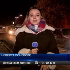 Кража невесты в Арыси: Жениху грозит срок
