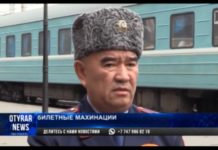 5 суток посидят под арестом и снова выходят на работу помогайки в Шымкенте