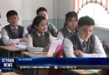 В Жетысае ученика, ударившего школьника ножом в голову, содержат под арестом