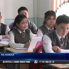 В Жетысае ученика, ударившего школьника ножом в голову, содержат под арестом