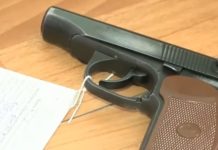 24 единицы незаконно хранящегося оружия изъяли в Туркестанской области