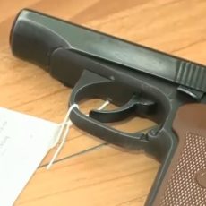 24 единицы незаконно хранящегося оружия изъяли в Туркестанской области