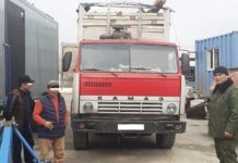 Саксаул незаконно вырубали в Туркестанской области саксаул