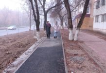 Туркестан заткнет Шымкент за Зеленый пояс?