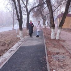 Туркестан заткнет Шымкент за Зеленый пояс?