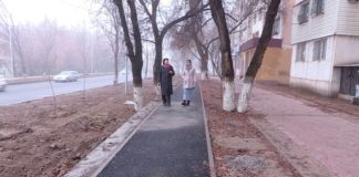 Туркестан заткнет Шымкент за Зеленый пояс?