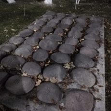 WhatsApp Image 2019-12-03 at 01.01.00 (1)