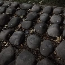 WhatsApp Image 2019-12-03 at 01.01.00