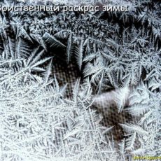 Прогноз погоды на 25 января