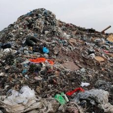 В Шымкенте появится еще один мусорный полигон