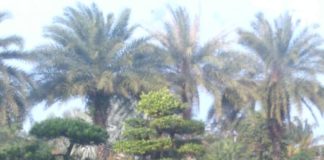 Казахстанцы не могут вылететь с зараженного коронавирусом острова Хайнань